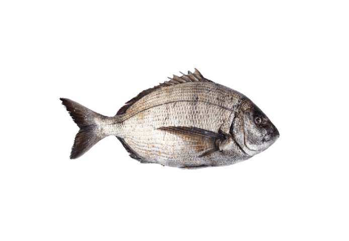 poisson SAR